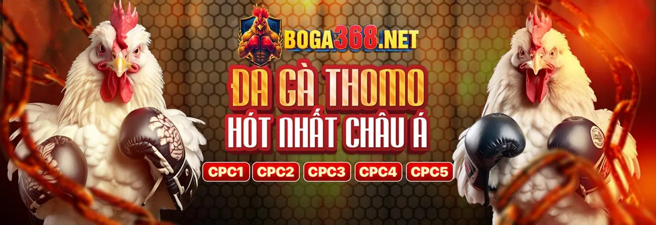 Sân đấu đá gà trực tuyến for8889 đầy kịch tính